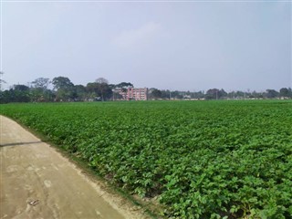 بنگلہ
