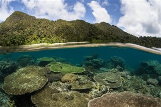 Salomon-Inseln