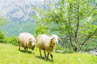 Albania