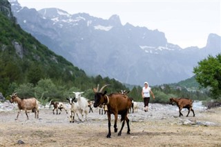 Albania