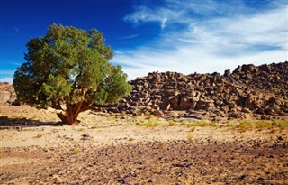 Algeria