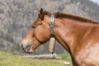 Andorra