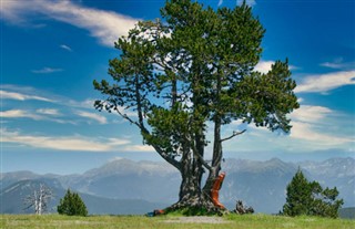 Andorra