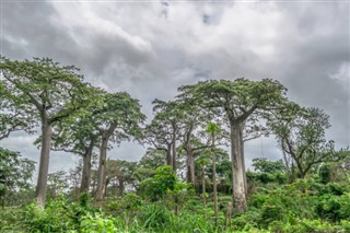 Angola