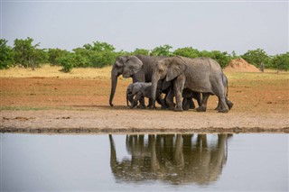 Angola