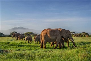 Angola