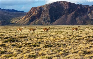 Argentina