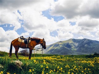 Armenia