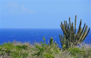 Aruba