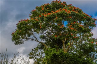 Barbados