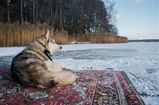 Belarus