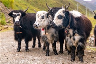 Bhutan