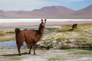 Bolivia