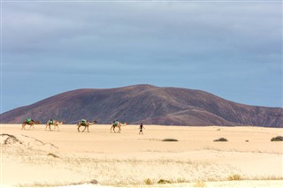 Bolivia