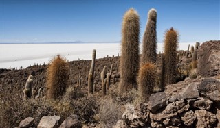 Bolivia