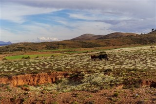 Bolivia