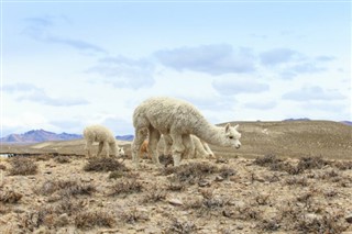 Bolivia