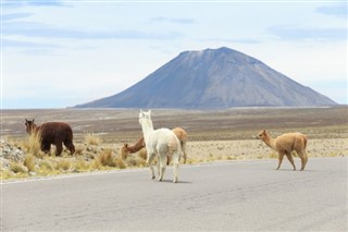 Bolivia