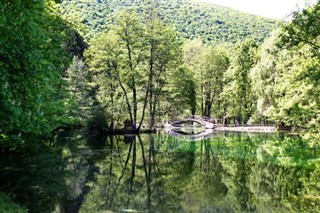 Bosnia