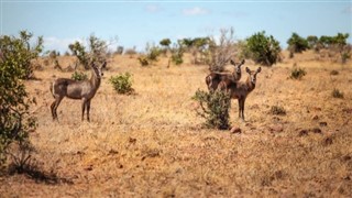 Botswana