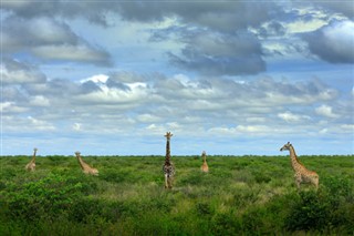 Botswana