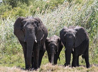 Botswana