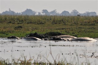 Botswana