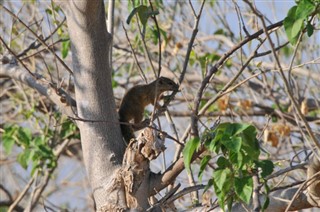 Botswana