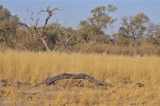 Botswana