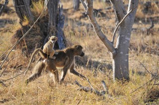 Botswana