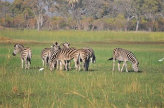 Botswana