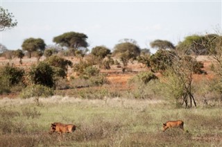 Botswana