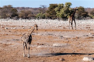 Botswana