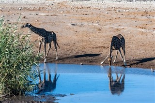 Botswana