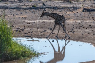 Botswana