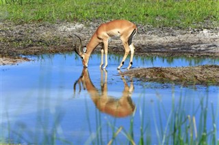 Botswana