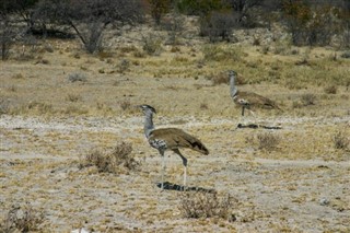 Botswana