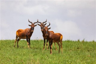 Botswana