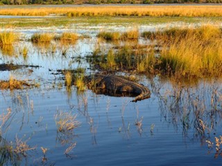 Botswana