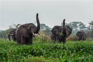 Botswana