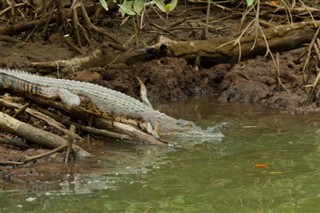 Brunei