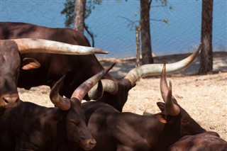 Burundi