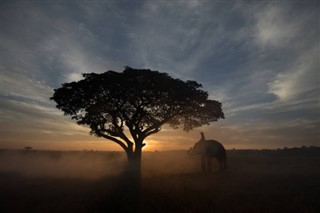 Cambodia