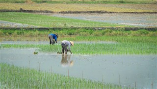 Cambodia