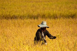 Cambodia