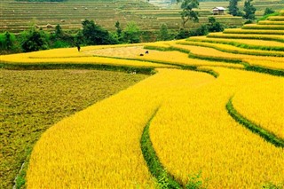 Cambodia