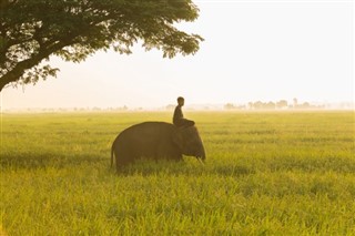 Cambodia