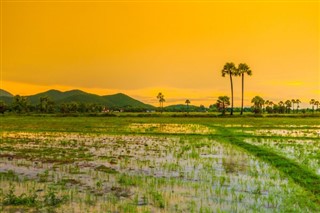 Cambodia