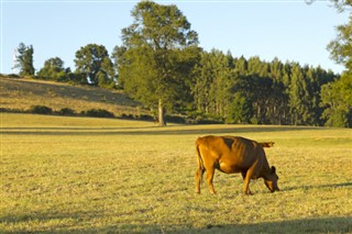 Chile