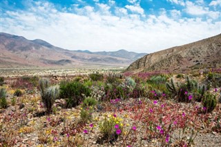 Chile